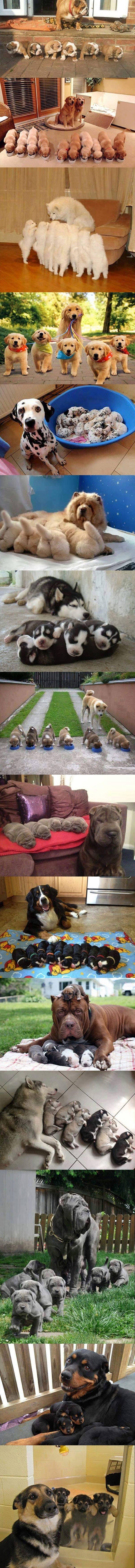 Proud Moms