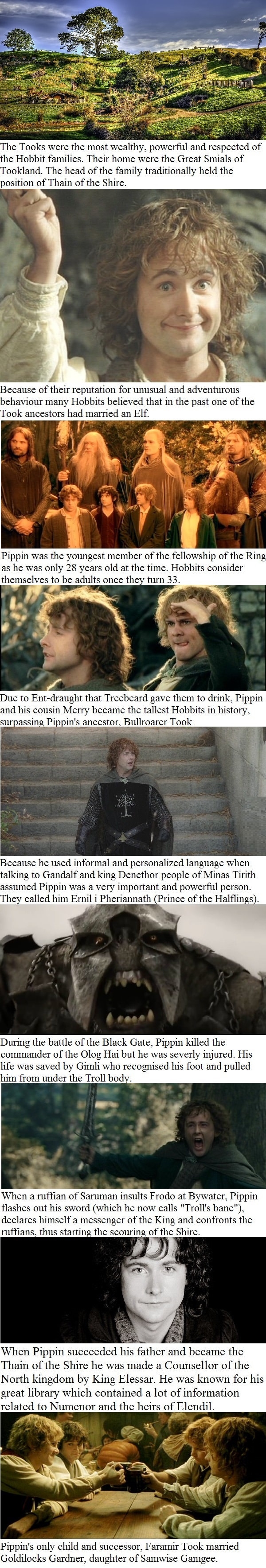 Peregrin Took facts