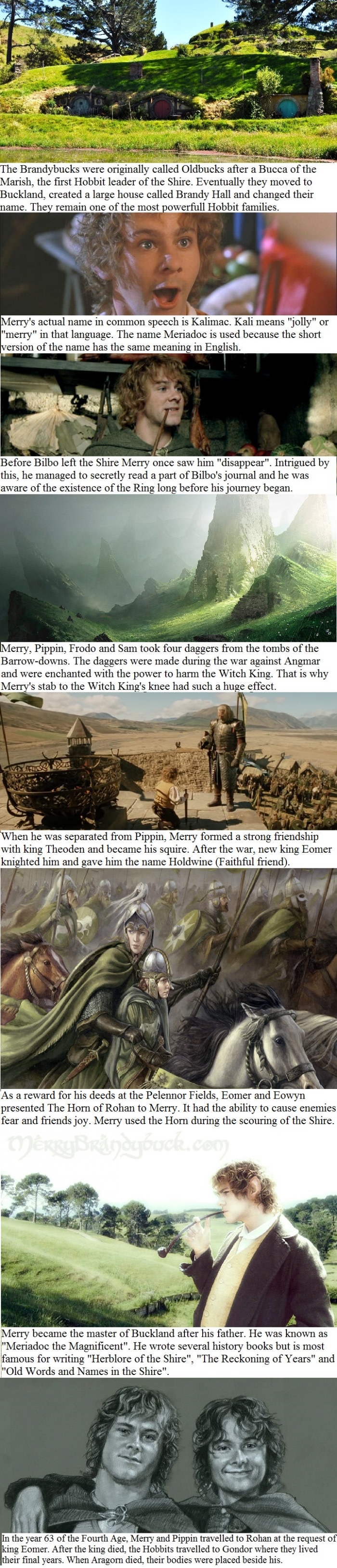 Meriadoc Brandybuck facts
