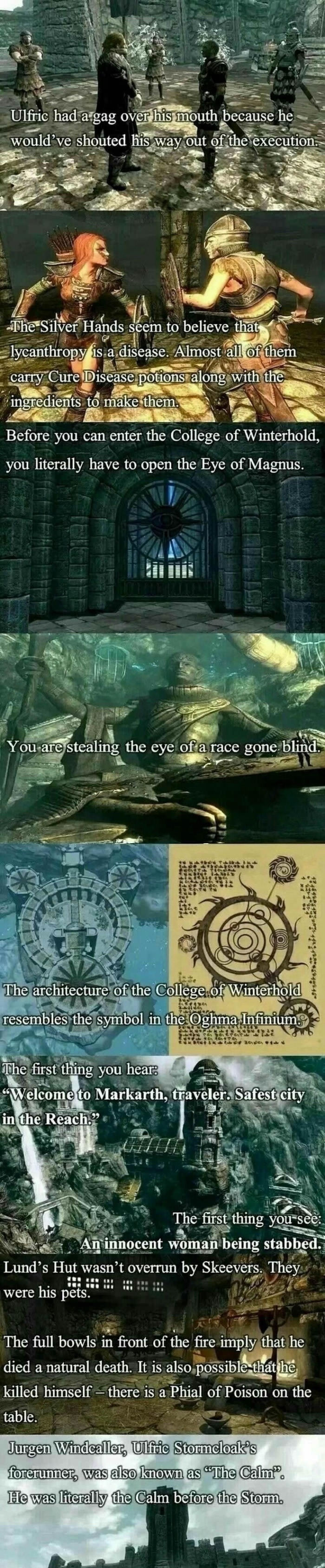 The untold story of Skyrim
