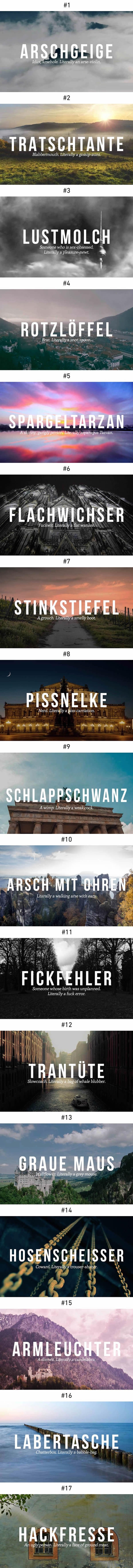 Brilliant german insults we need in english