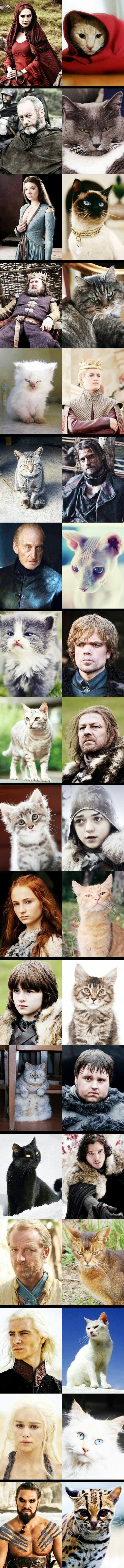 Cat of Thrones #CoT
