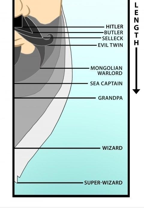 Beard epicness