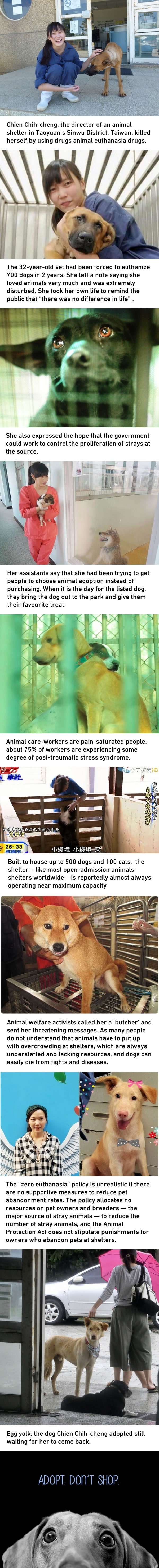 Animal shelter director ends her life