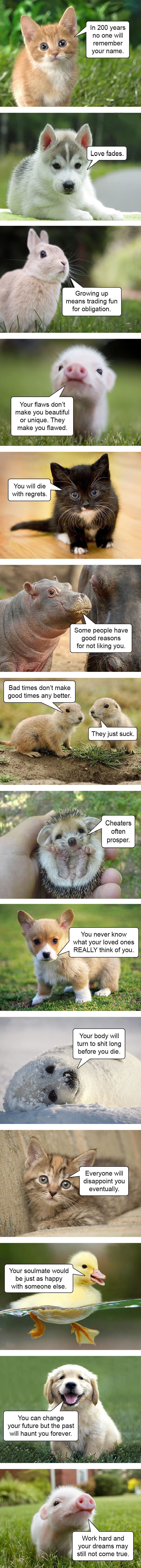 Hard truths from baby animals