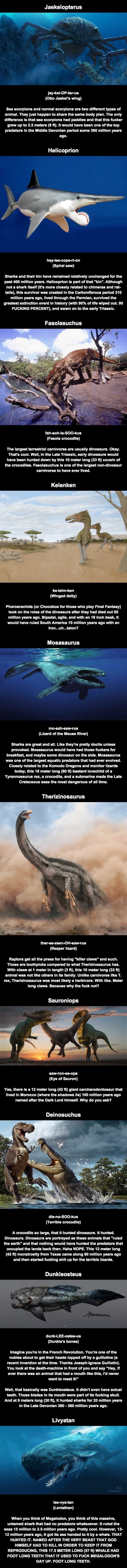 Just some prehistoric nopes