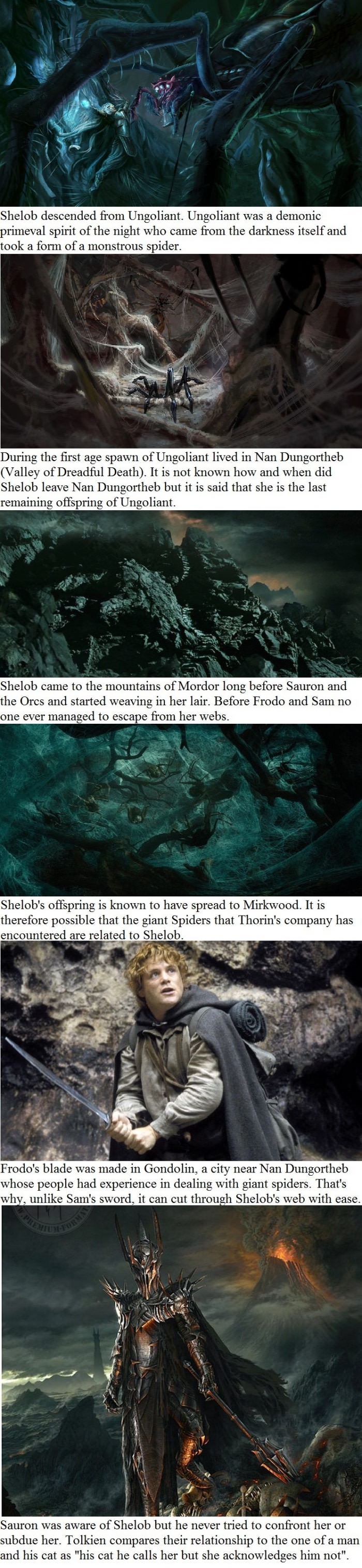 Shelob facts