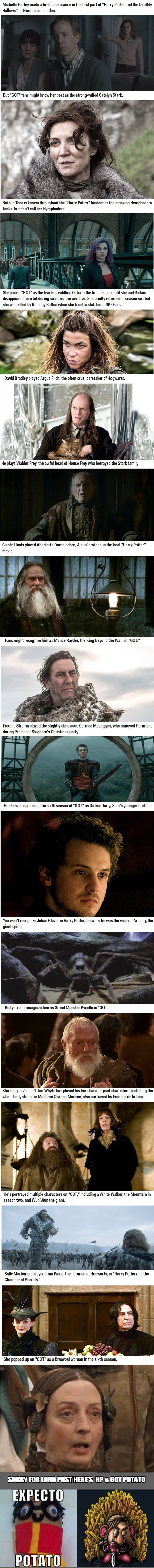 Actors who went from Harry Potter to Game of Thrones
