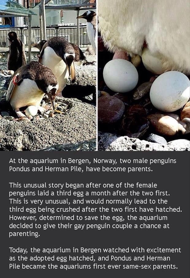Nature is weird and awesome
