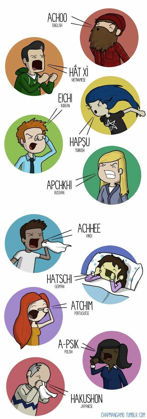 What is sneezing called in your language?