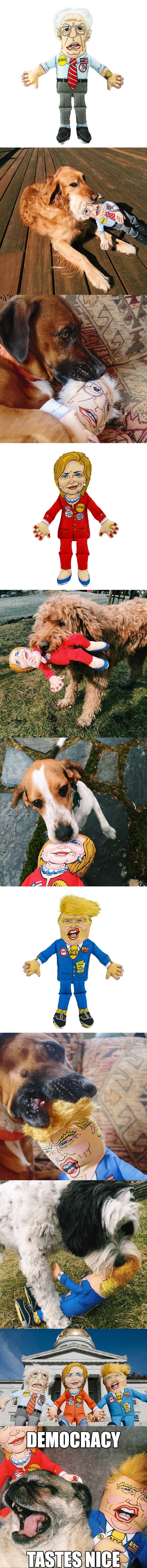 Presidential parody dog toys