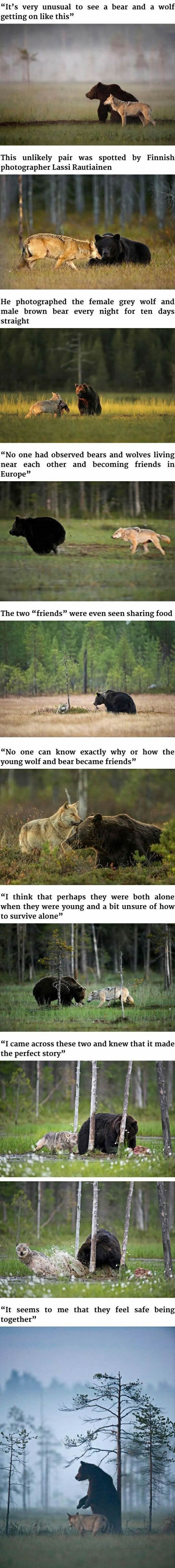 Nature is beautiful and surprising!