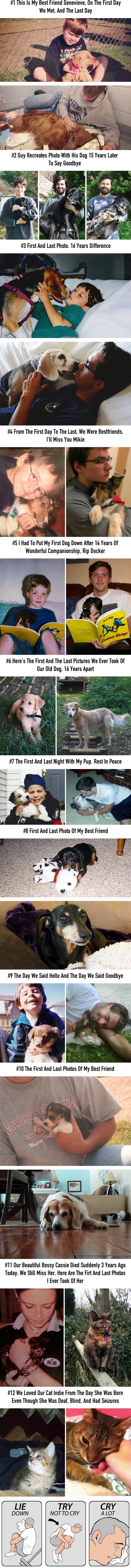 Heartbreaking first & last photos of pets