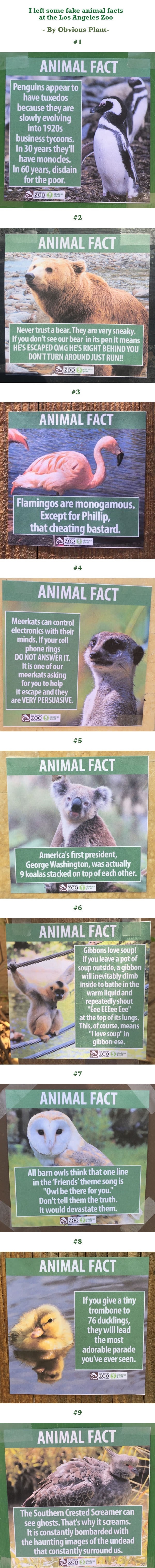 Fake animal facts at the Los Angeles Zoo