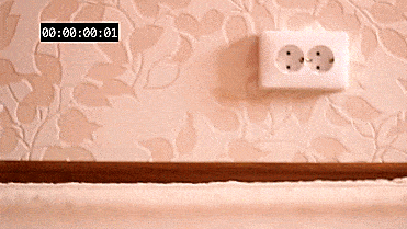 Cats crash test