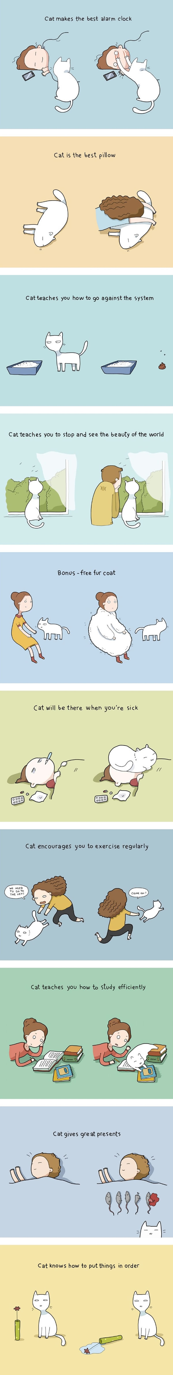 Purrfect reasons to get a cat