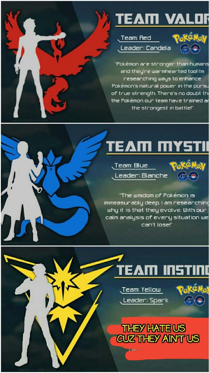 Pokemon GO team spirits