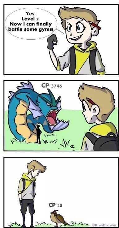 New pokemon gamers will understand