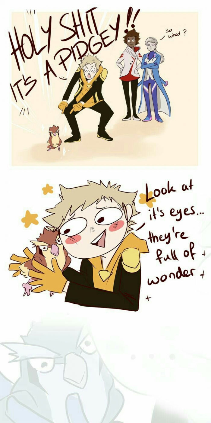 Where are my Team Instinct bros at?
