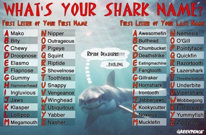 What's your shark name?