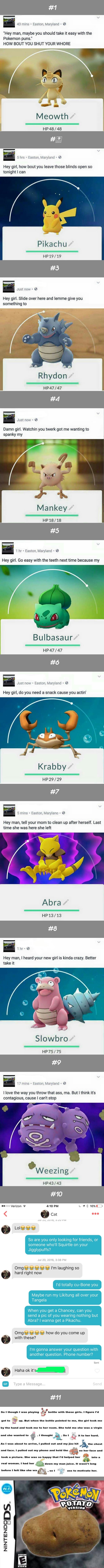 Ridiculous pokemon puns