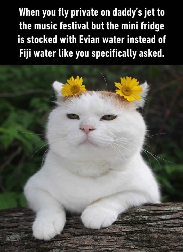 Don't tell me it's just water