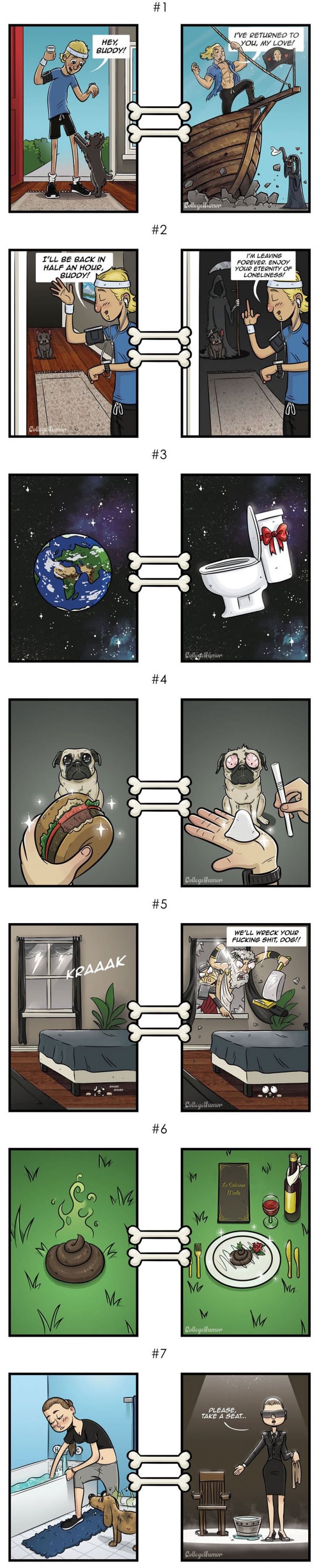 How the world looks like in dog's eyes