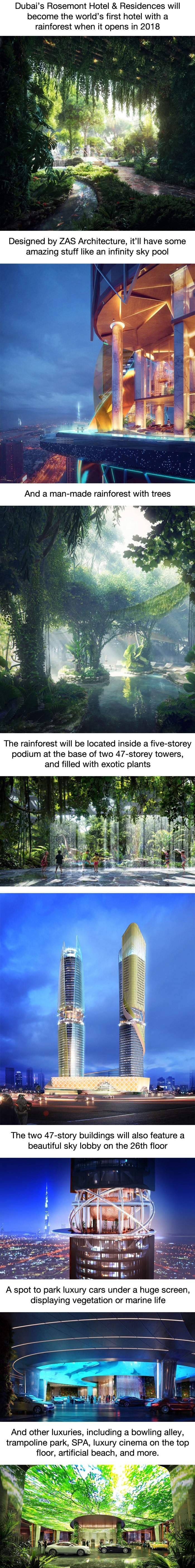 Dubai is opening a hotel with an indoor rainforest