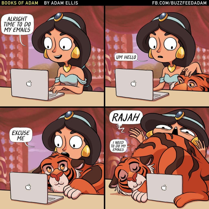 How it feels having a kitty