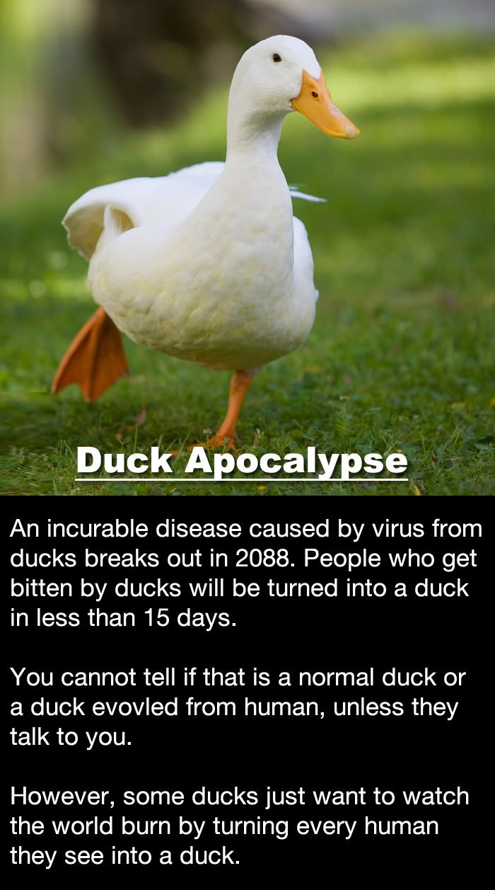 The Duck Apocalypse