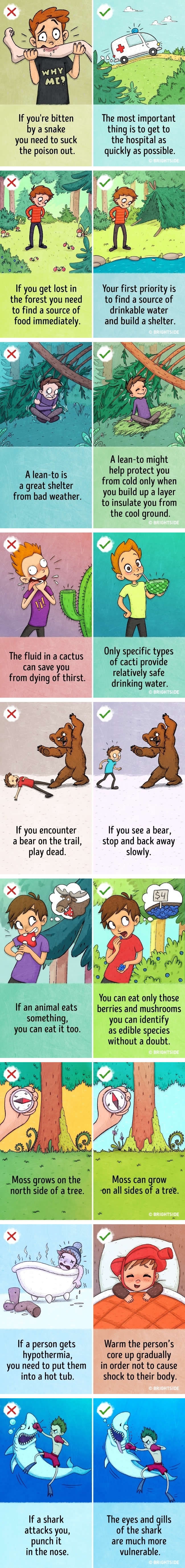 Survival myths that could actually hurt you