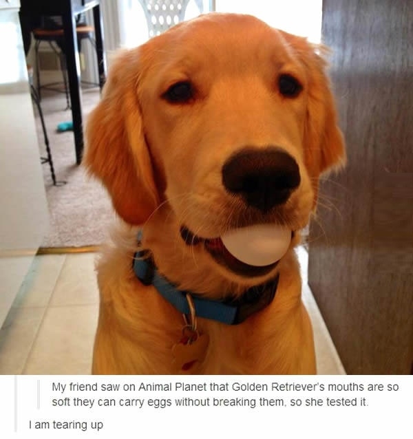 THIS IS SO CUTE
