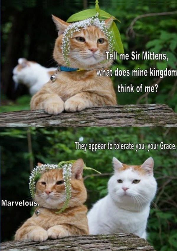 The New King