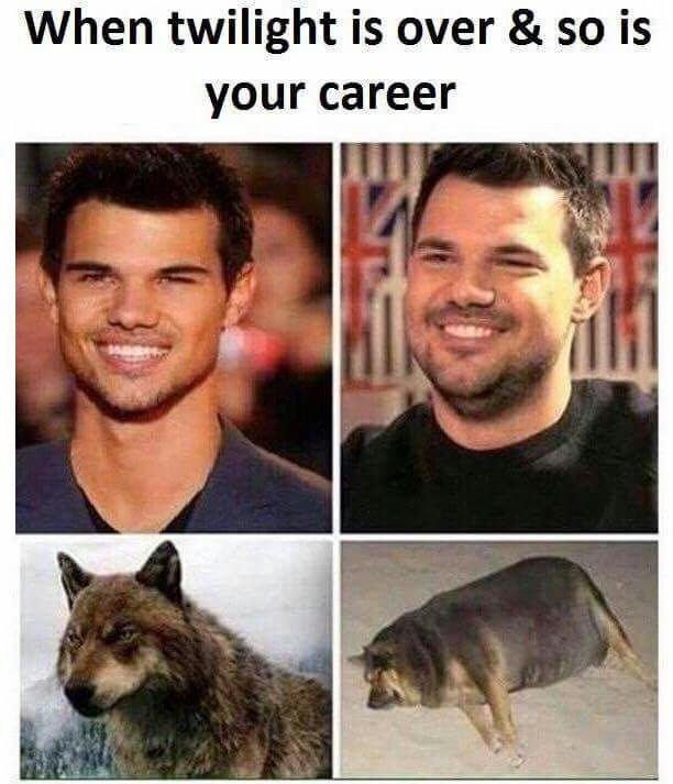 Taylor Lautner