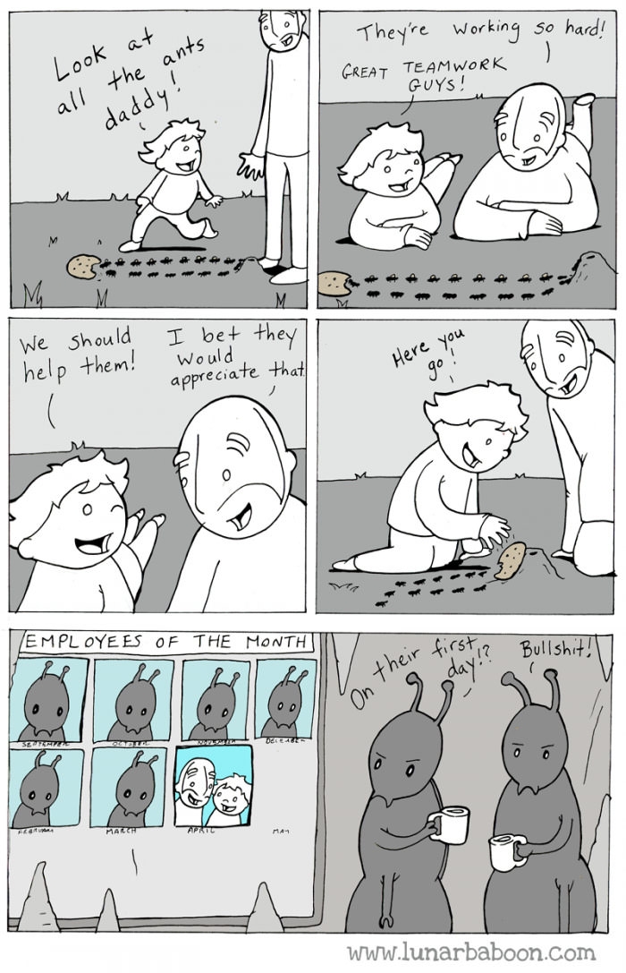 Ants