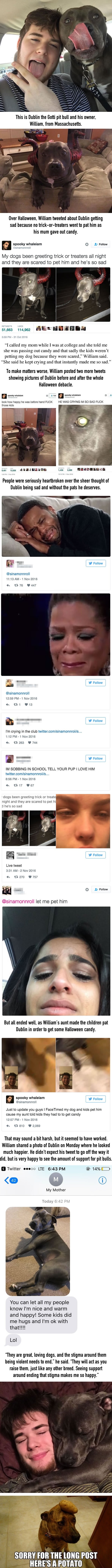 Everyone is heartbroken over this sad pit bull after people refused to pet him