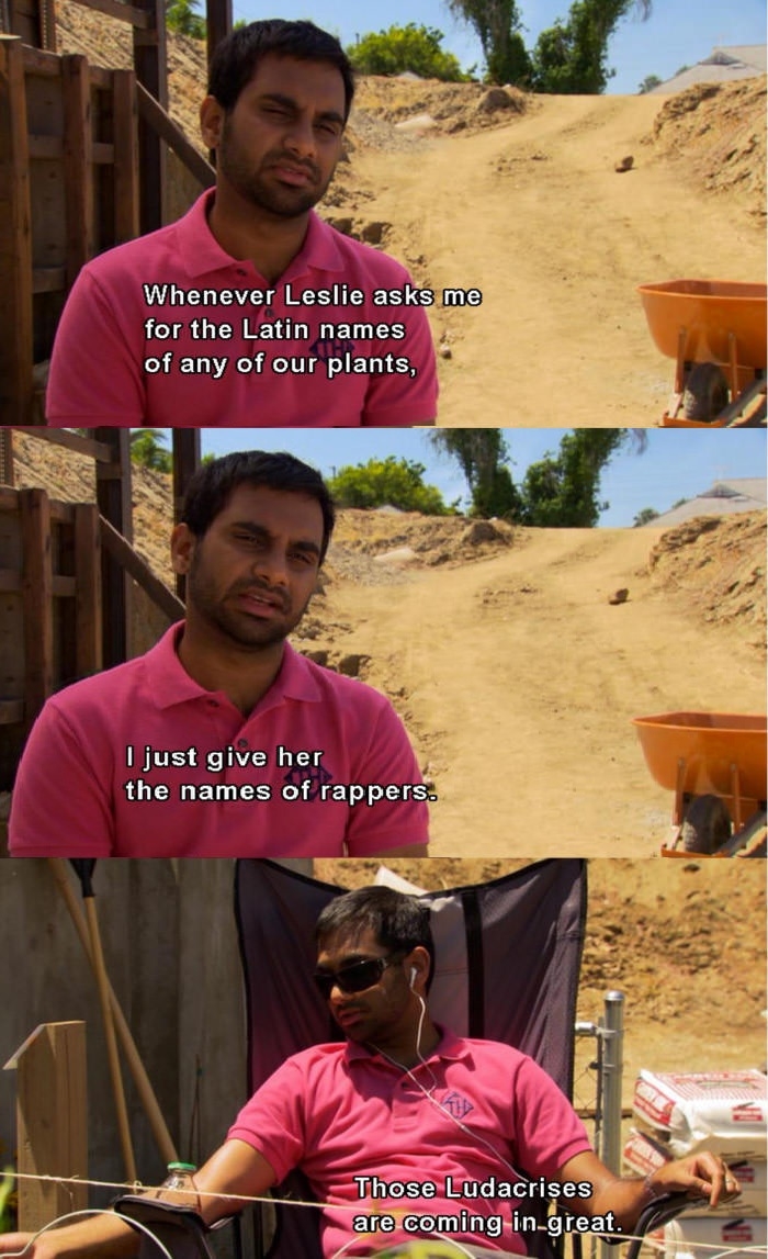 My favourite Parks and Rec moment