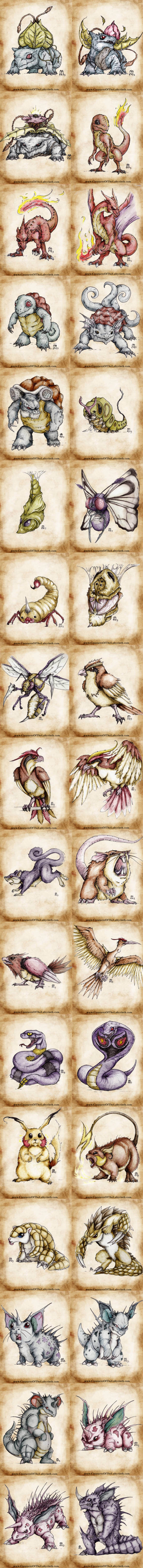 Pokedex project compilation