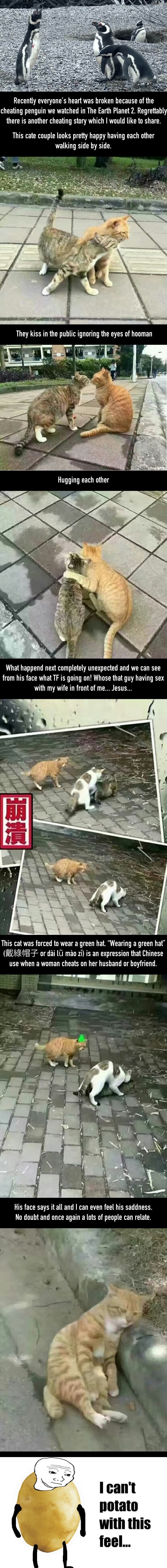 Husband found wife cheating