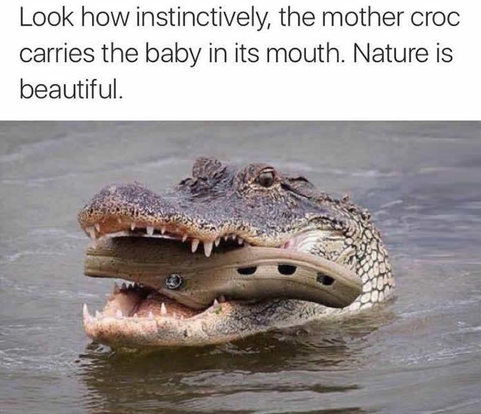 Beautiful nature