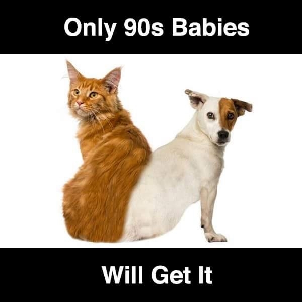 Do you get it?