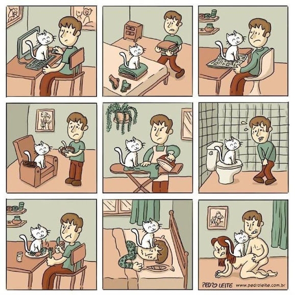 Cat owners will relate