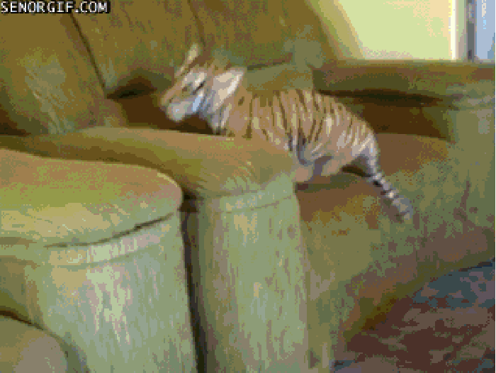 Yeah.. you better run