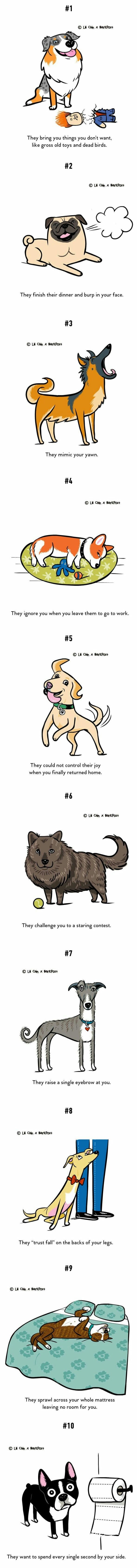 Things every dog owner knows