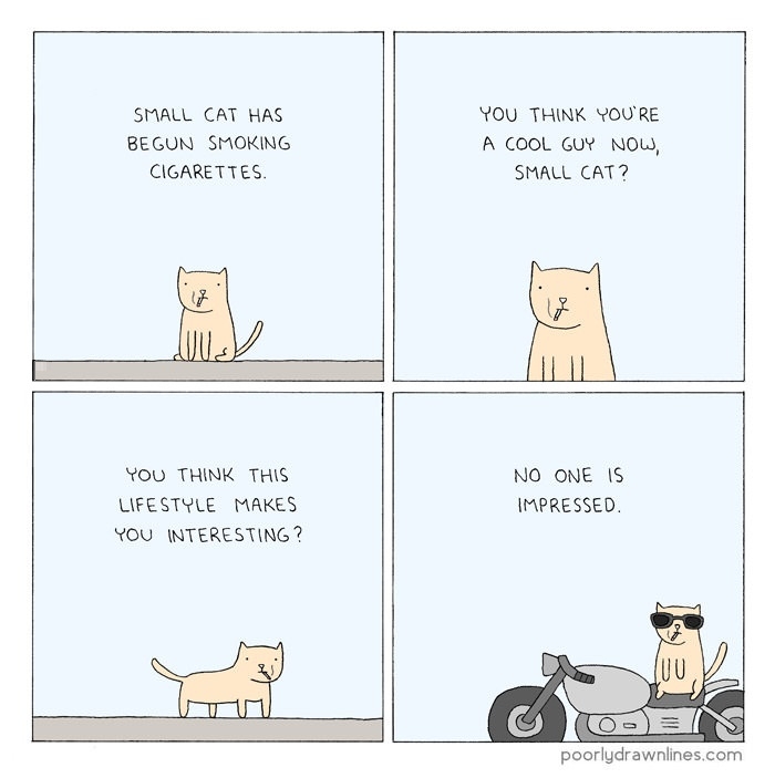 Cool cats