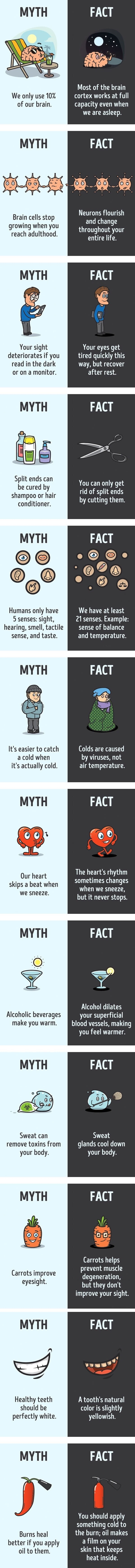 Myths vs. facts