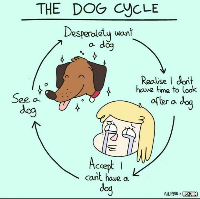 The dog cycle