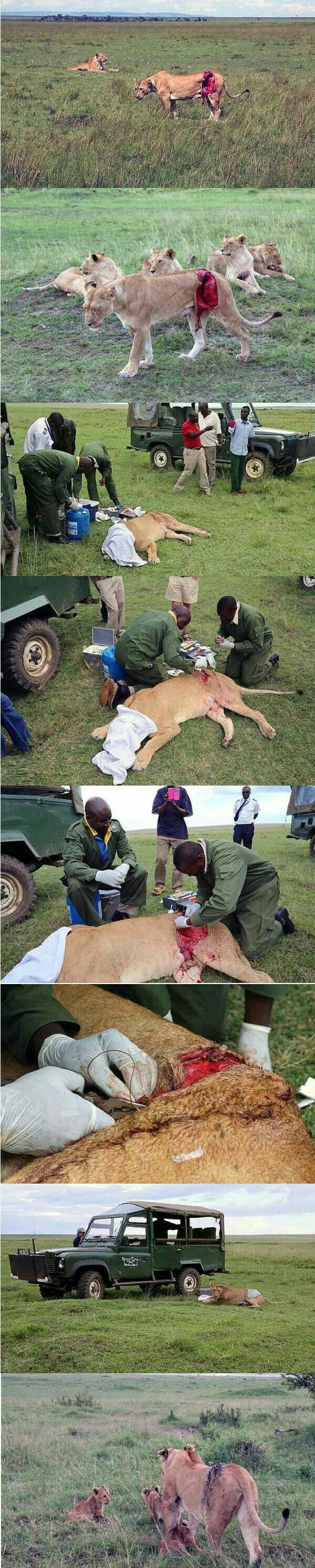 Faith in humanity restored