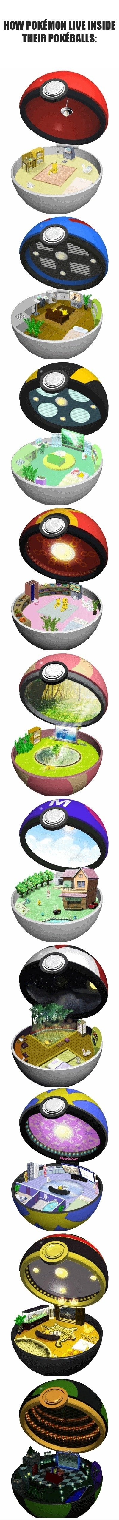 How Pokemons Live