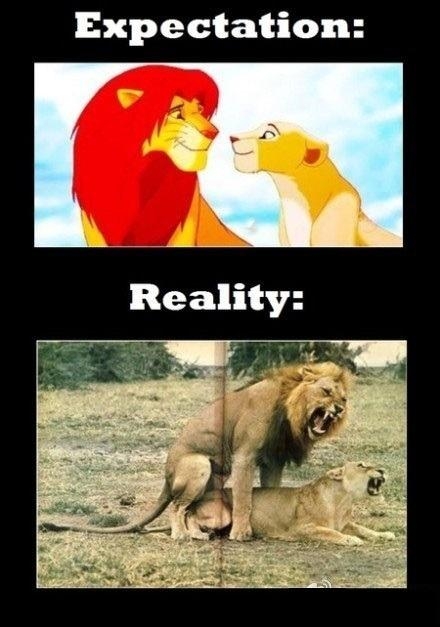Reality - You're doing it